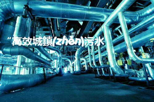“高效城鎮(zhèn)污水處理流程，守護(hù)碧水藍(lán)天新篇章”